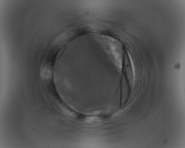X0000092270137200709281232
