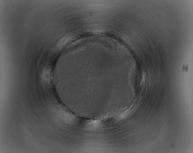 X0000092270140200709281232