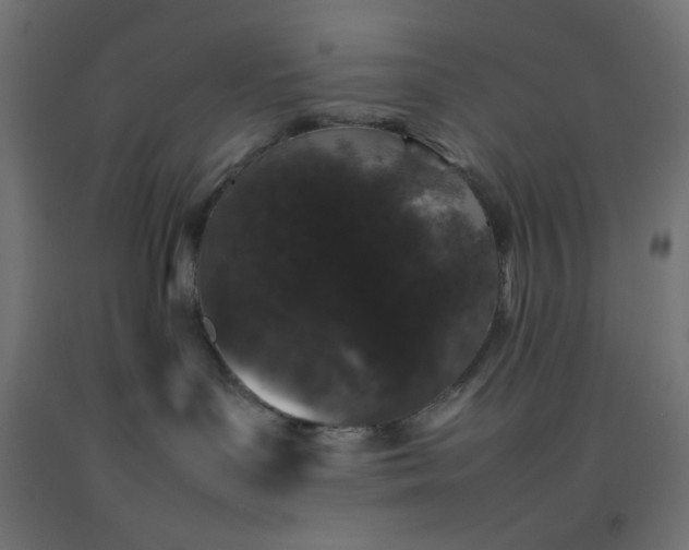 X0000092270143200709281231