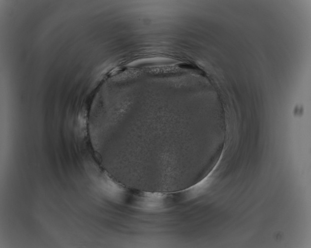 X0000092270144200709281231