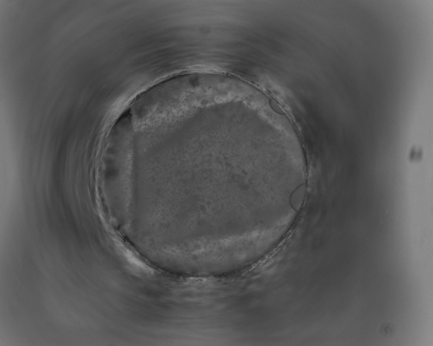 X0000092270145200709281231