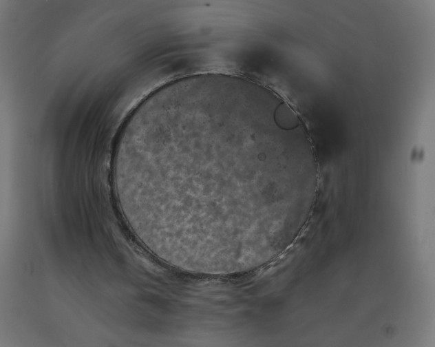 X0000092270146200709281231