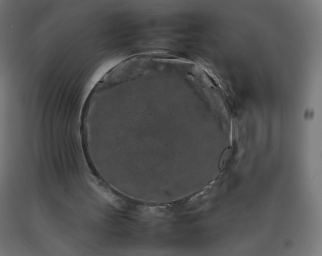 X0000092270147200709281231