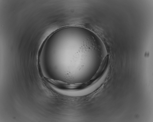 X0000092270148200709281231