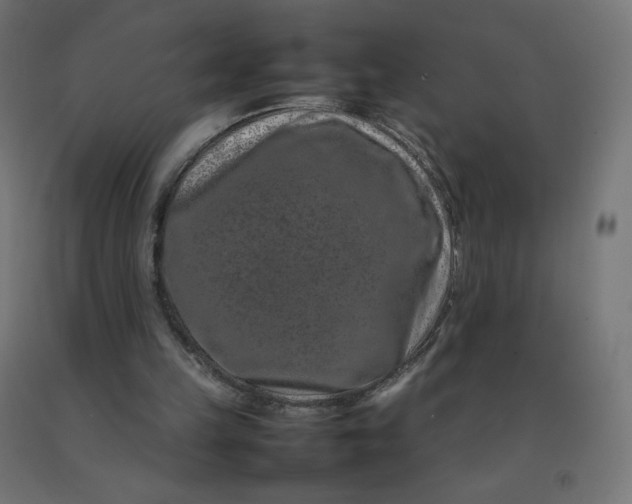 X0000092270149200709281231