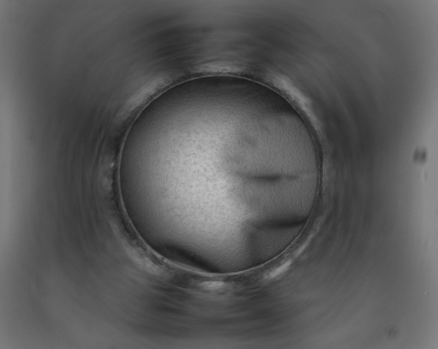 X0000092270153200709281231