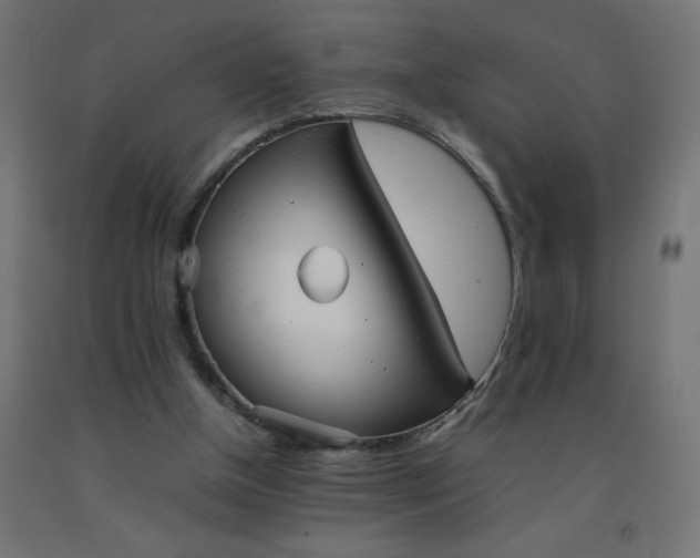 X0000092270154200709281231