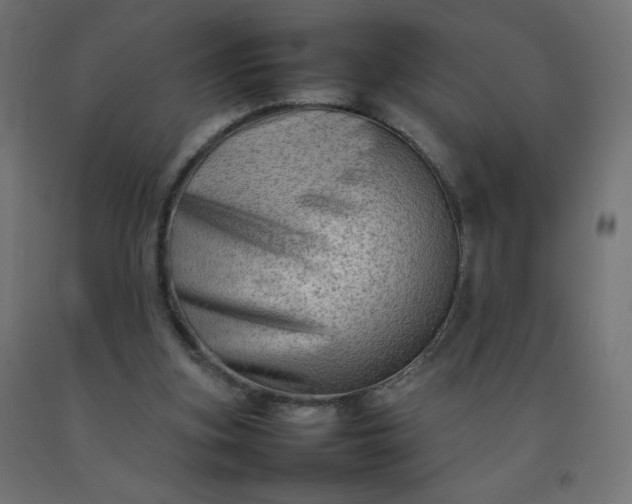 X0000092270155200709281231