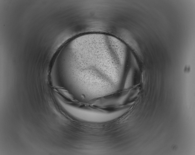 X0000092270156200709281231