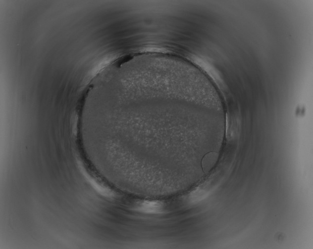 X0000092270157200709281231
