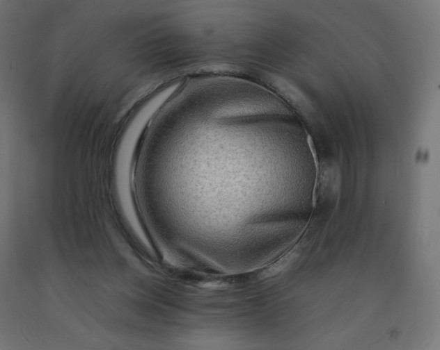 X0000092270158200709281231