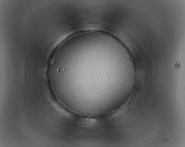 X0000092270159200709281231