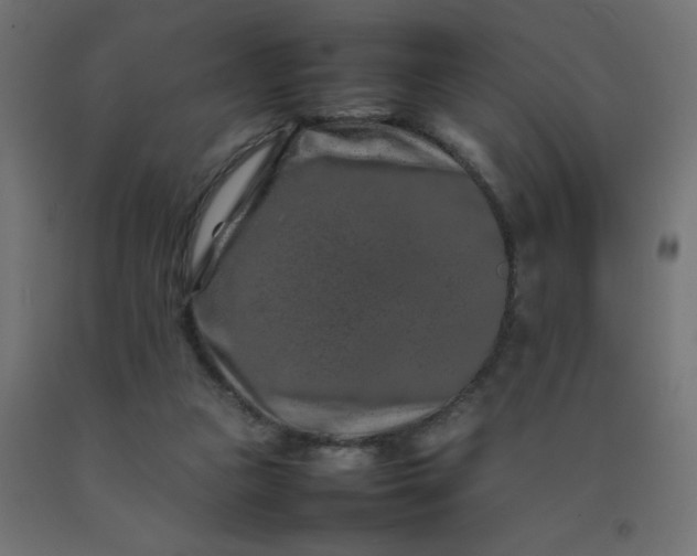 X0000092270161200709281231