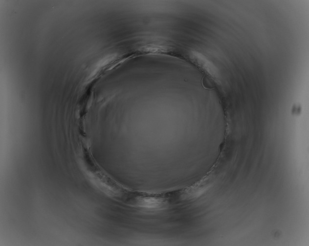 X0000092270163200709281231