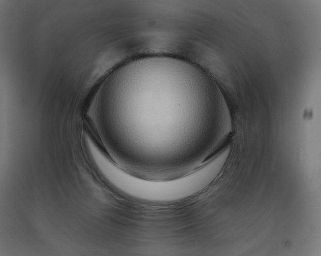X0000092270164200709281231