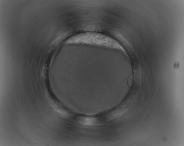 X0000092270165200709281231