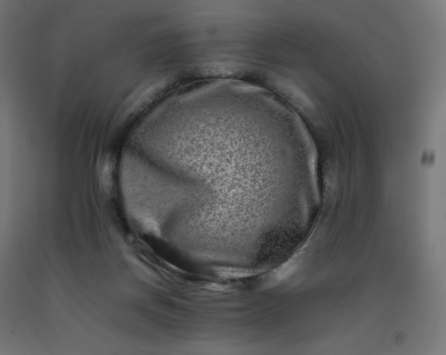 X0000092270166200709281231