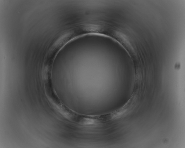 X0000092270167200709281231