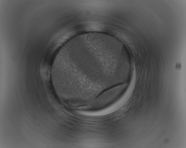 X0000092270168200709281231