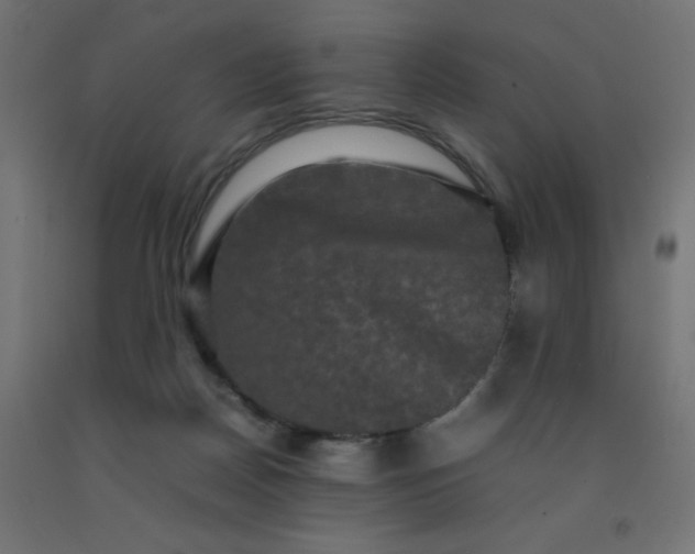X0000092270170200709281231