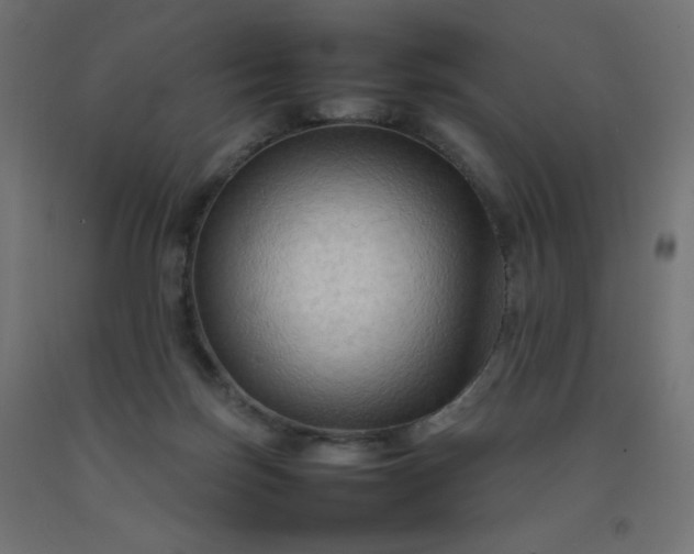 X0000092270171200709281231