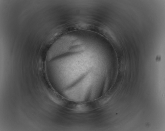 X0000092270173200709281231