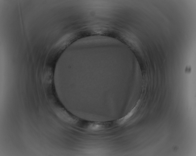 X0000092270174200709281231