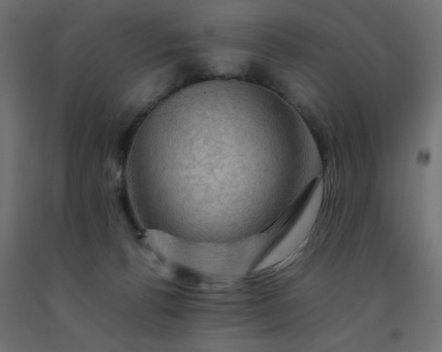 X0000092270176200709281231