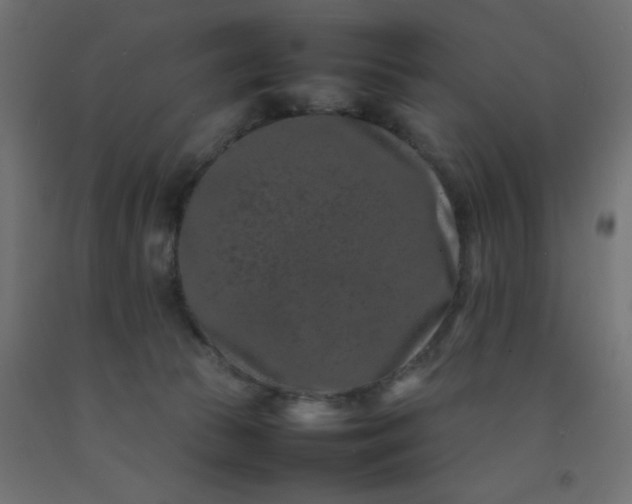 X0000092270177200709281231