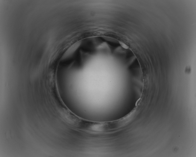 X0000092270178200709281231