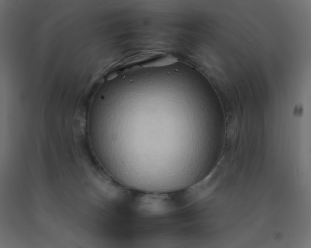 X0000092270179200709281231