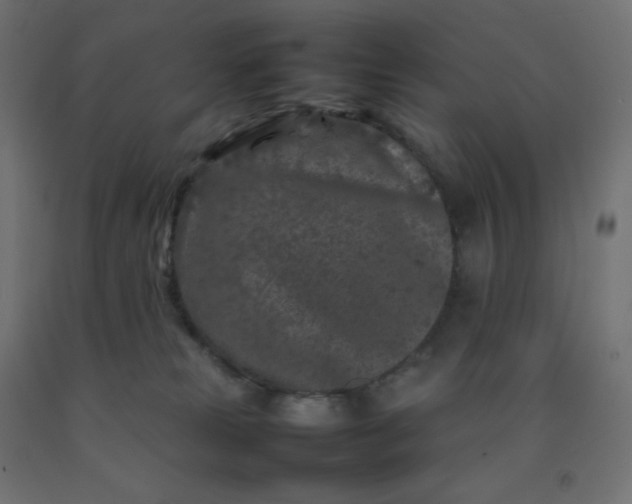 X0000092270181200709281231