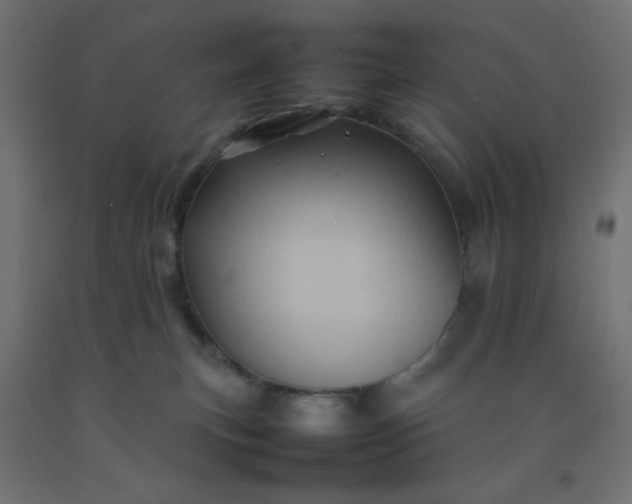 X0000092270183200709281231