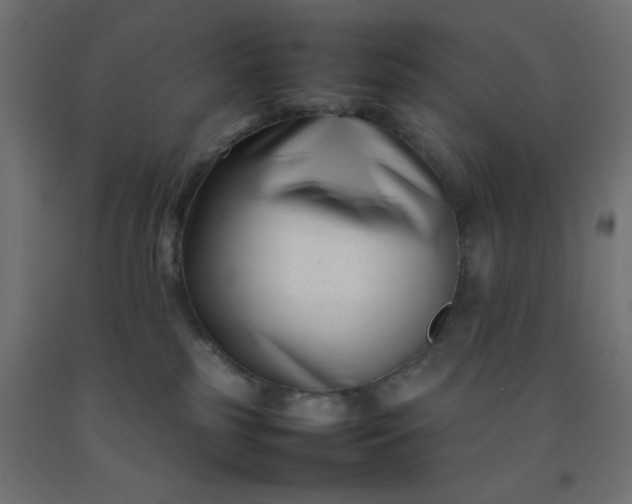 X0000092270185200709281231