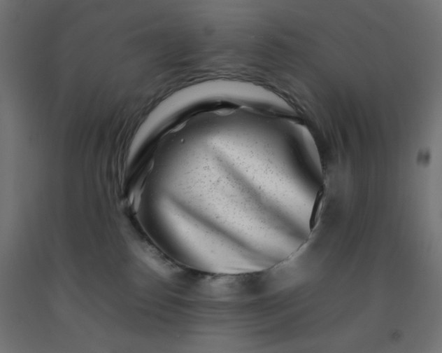 X0000092270186200709281231
