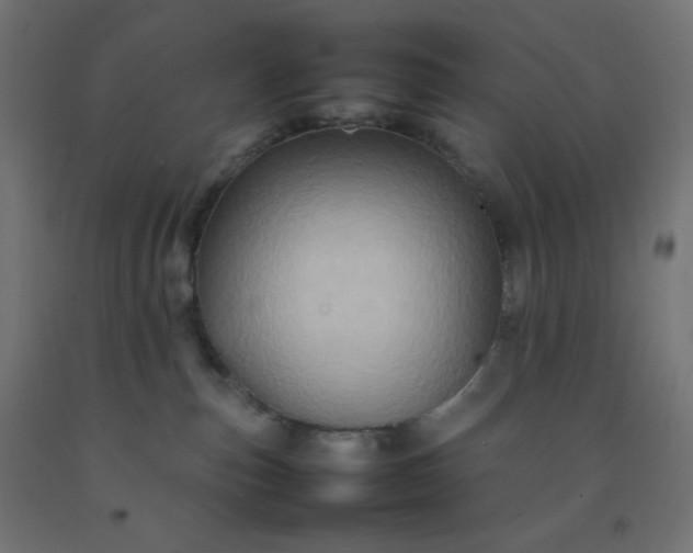 X0000092270187200709281231