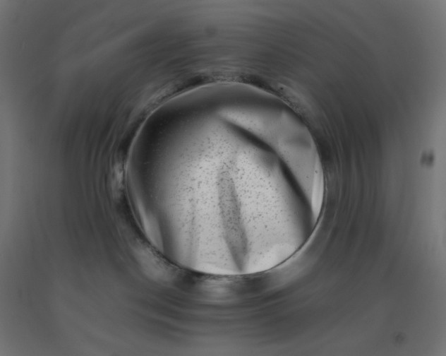 X0000092270190200709281231