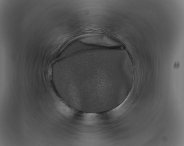 X0000092270192200709281231