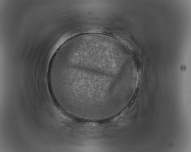 X0000092270195200709281231