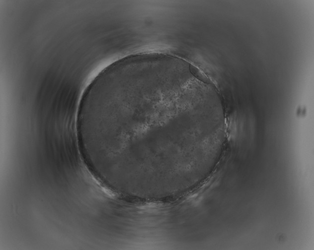 X0000092270196200709281231