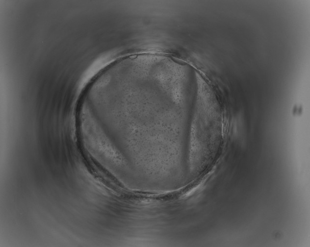 X0000092270198200709281231