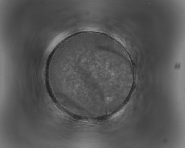 X0000092270199200709281231