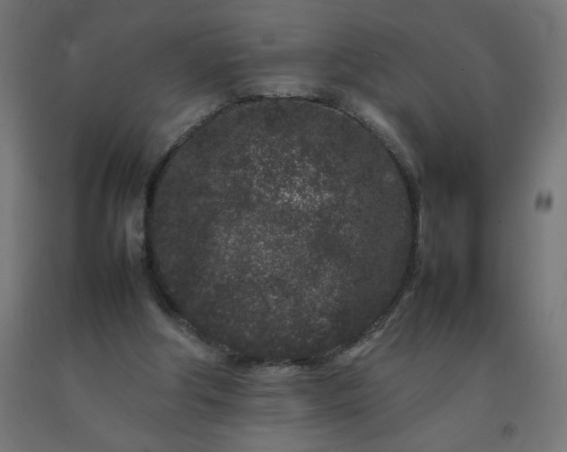 X0000092270202200709281231