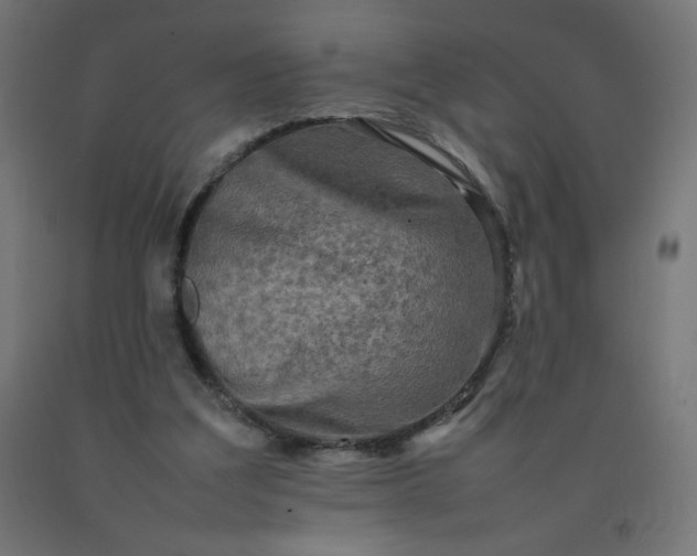X0000092270203200709281231