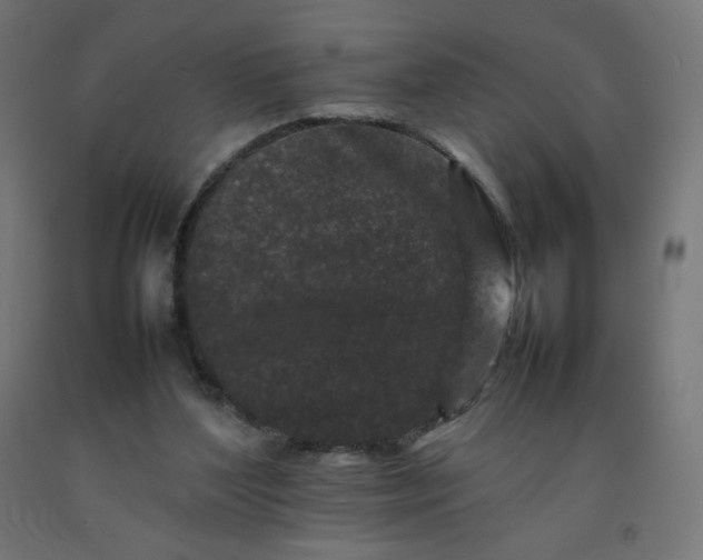 X0000092270204200709281231
