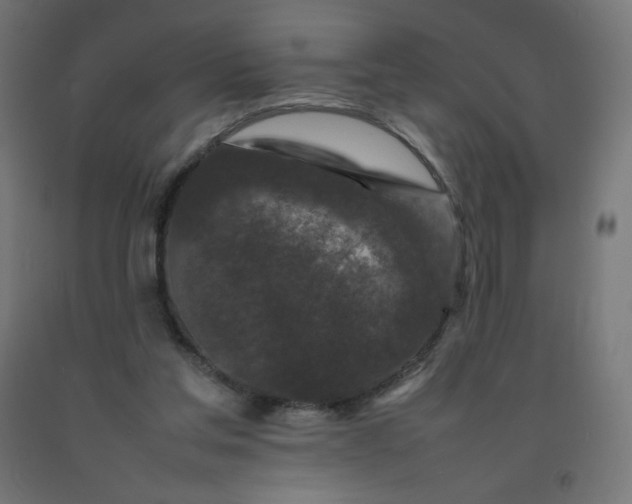 X0000092270205200709281231
