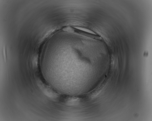 X0000092270206200709281231