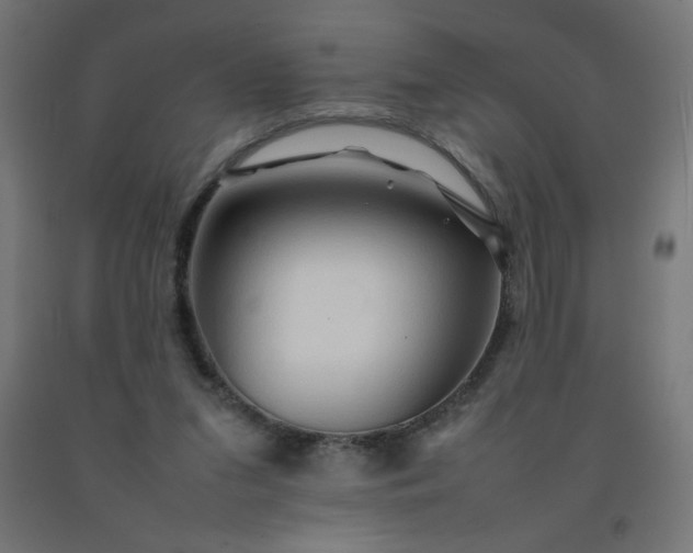 X0000092270207200709281231