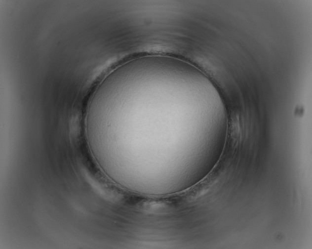 X0000092270208200709281231