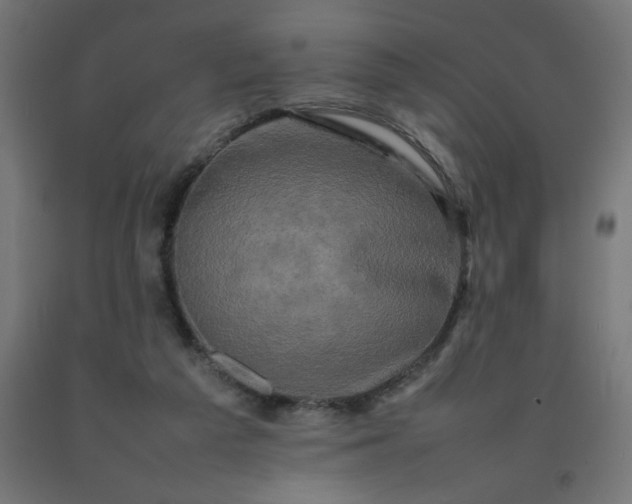 X0000092270209200709281231